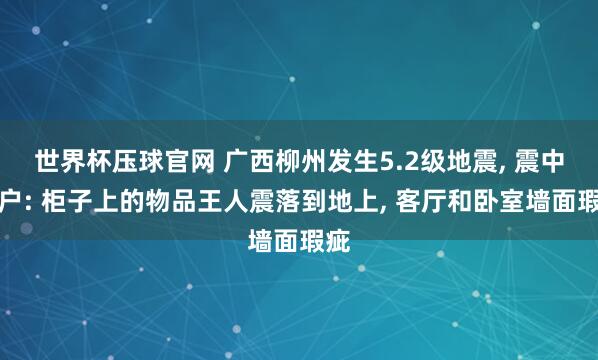 世界杯压球官网 广西柳州发生5.2级地震, 震中住户: 柜子上的物品王人震落到地上, 客厅和卧室墙面瑕疵