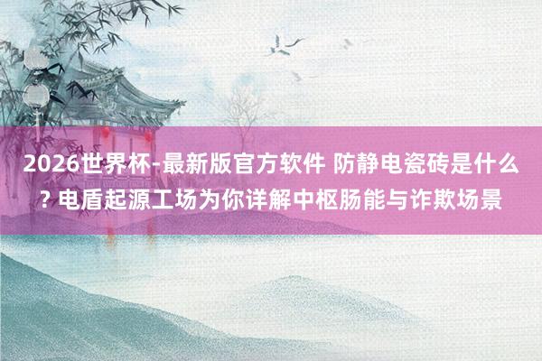 2026世界杯-最新版官方软件 防静电瓷砖是什么? 电盾起源工场为你详解中枢肠能与诈欺场景