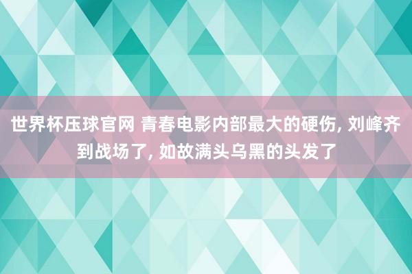 世界杯压球官网 青春电影内部最大的硬伤, 刘峰齐到战场了, 如故满头乌黑的头发了