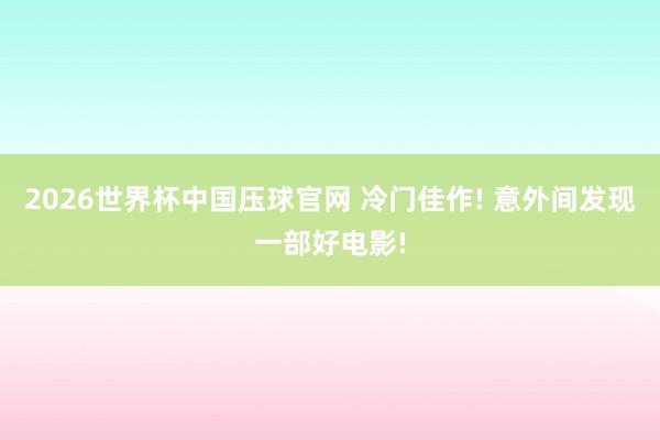 2026世界杯中国压球官网 冷门佳作! 意外间发现一部好电影!