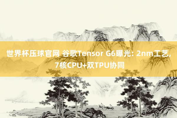 世界杯压球官网 谷歌Tensor G6曝光: 2nm工艺, 7核CPU+双TPU协同