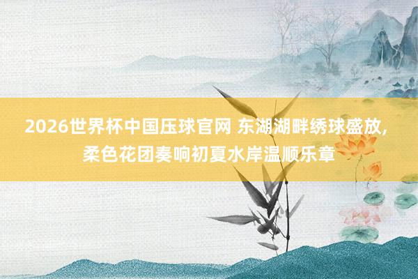 2026世界杯中国压球官网 东湖湖畔绣球盛放, 柔色花团奏响初夏水岸温顺乐章