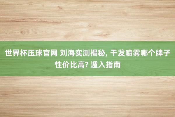 世界杯压球官网 刘海实测揭秘, 干发喷雾哪个牌子性价比高? 遁入指南