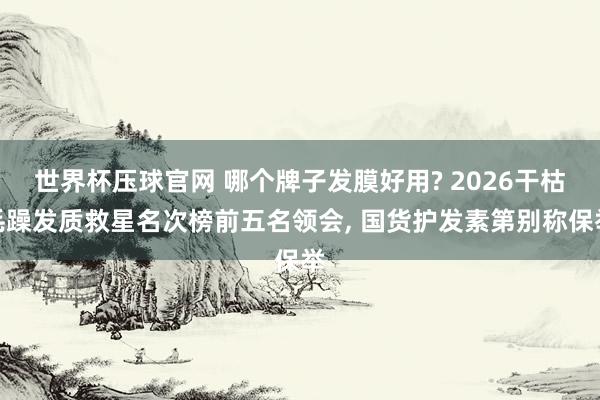世界杯压球官网 哪个牌子发膜好用? 2026干枯毛躁发质救星名次榜前五名领会， 国货护发素第别称保举