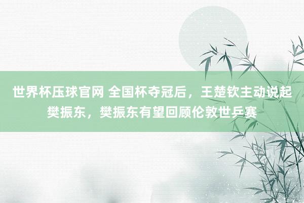 世界杯压球官网 全国杯夺冠后,王楚钦主动说起樊振东,樊振东有望回顾伦敦世乒赛
