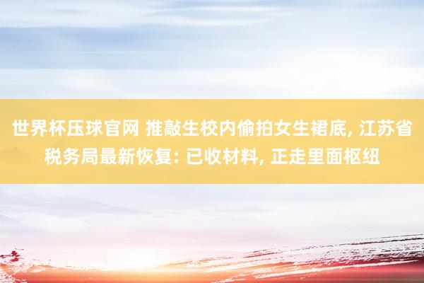 世界杯压球官网 推敲生校内偷拍女生裙底, 江苏省税务局最新恢复: 已收材料, 正走里面枢纽