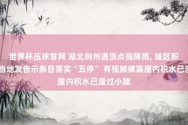 世界杯压球官网 湖北荆州遇顶点强降雨， 城区积水严重 当地发告示条目落实“五停” 有视频裸露屋内积水已漫过小腿