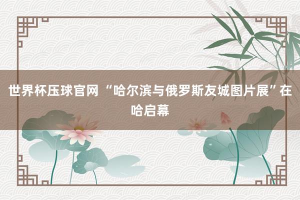 世界杯压球官网 “哈尔滨与俄罗斯友城图片展”在哈启幕