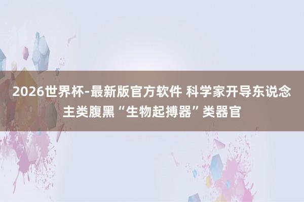 2026世界杯-最新版官方软件 科学家开导东说念主类腹黑“生物起搏器”类器官