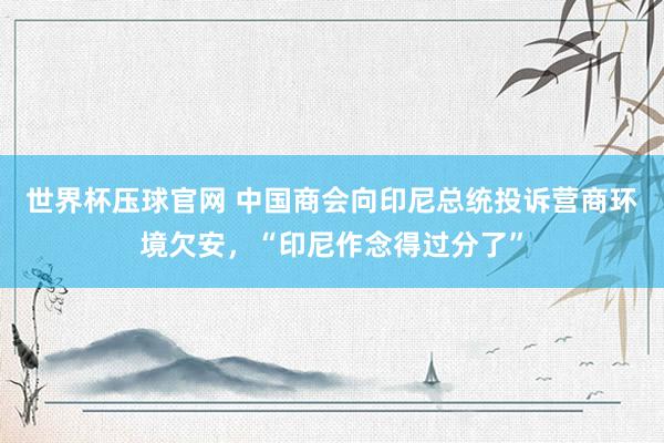 世界杯压球官网 中国商会向印尼总统投诉营商环境欠安,“印尼作念得过分了”
