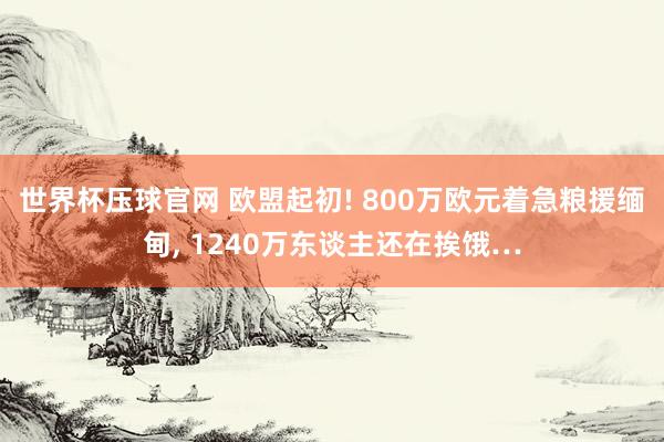 世界杯压球官网 欧盟起初! 800万欧元着急粮援缅甸, 1240万东谈主还在挨饿…