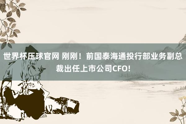 世界杯压球官网 刚刚!前国泰海通投行部业务副总裁出任上市公司CFO!