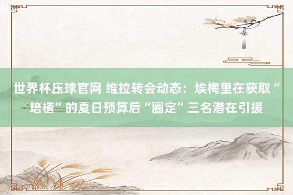世界杯压球官网 维拉转会动态:埃梅里在获取“培植”的夏日预算后“圈定”三名潜在引援