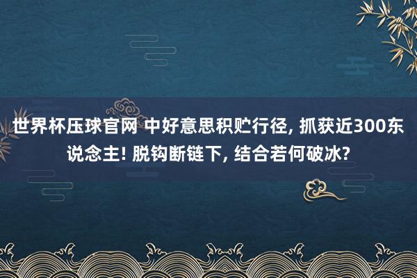 世界杯压球官网 中好意思积贮行径, 抓获近300东说念主! 脱钩断链下, 结合若何破冰?