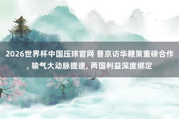 2026世界杯中国压球官网 普京访华鞭策重磅合作, 输气大动脉提速, 两国利益深度绑定