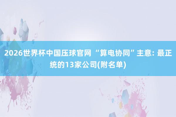 2026世界杯中国压球官网 “算电协同”主意: 最正统的13家公司(附名单)