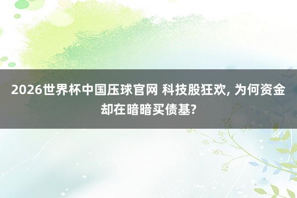2026世界杯中国压球官网 科技股狂欢, 为何资金却在暗暗买债基?