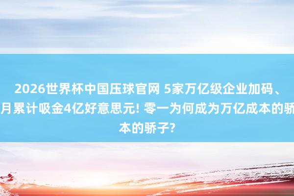 2026世界杯中国压球官网 5家万亿级企业加码、2个月累计吸金4亿好意思元! 零一为何成为万亿成本的骄子?