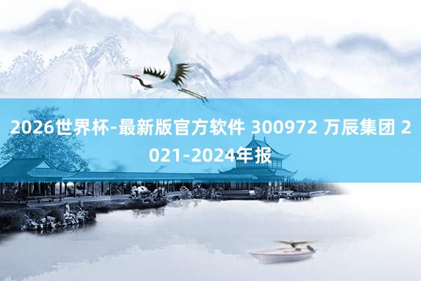 2026世界杯-最新版官方软件 300972 万辰集团 2021-2024年报