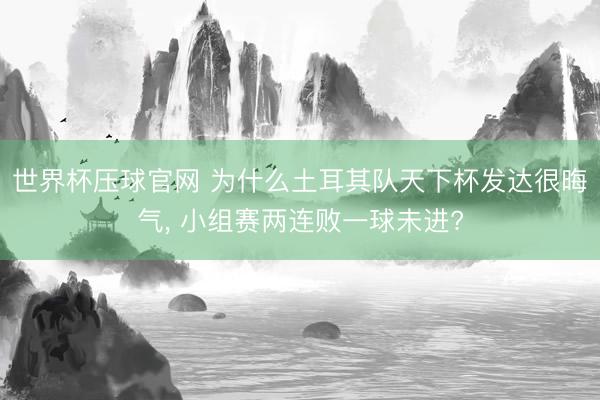 世界杯压球官网 为什么土耳其队天下杯发达很晦气， 小组赛两连败一球未进?